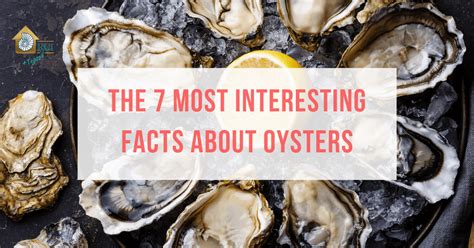 The 7 Most Interesting Facts About Oysters Rci Topsail