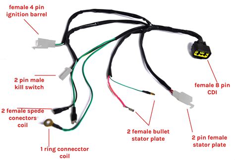 wiring diagram  dirt bike schematic  wiring diagram images   finder