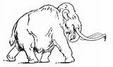 Mammoth Woolly Coloring Drawing Pages Getdrawings sketch template