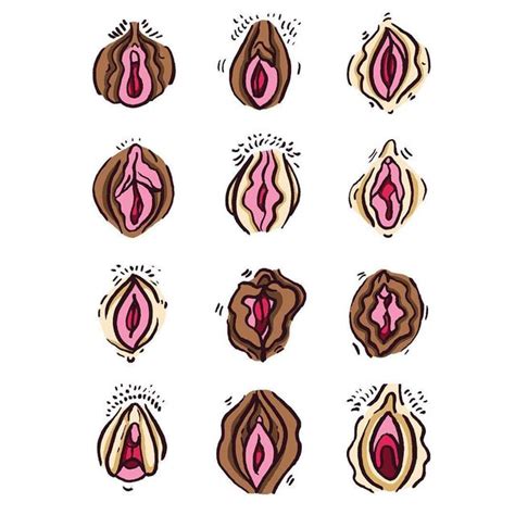 meredith white posts realistic illustrations of vaginas on the clitoris club instagram revelist