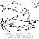 Coloring Catfish sketch template
