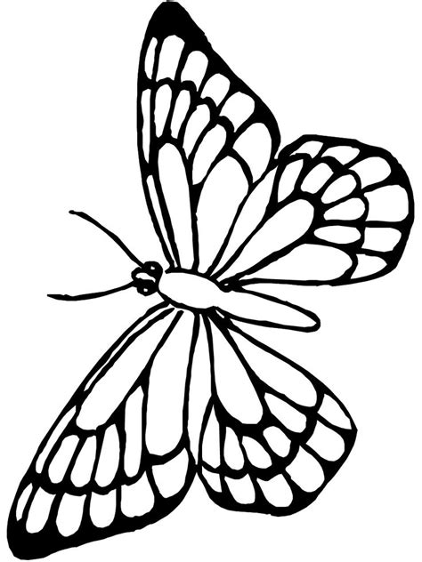 printable butterfly coloring pages  kids butterfly coloring