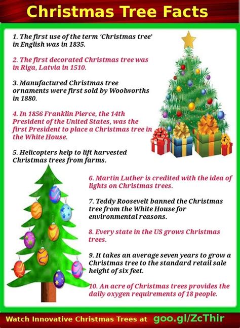 fun facts  christmas decorations  cake boutique