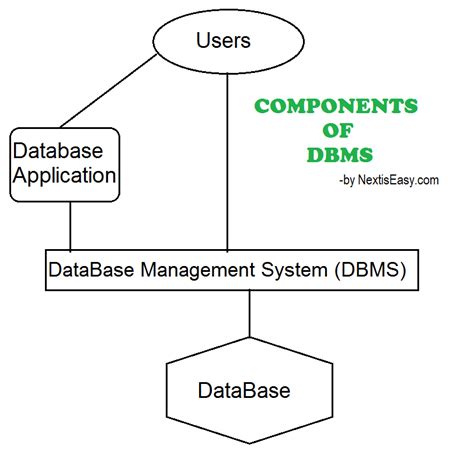 dbms  management system   easy