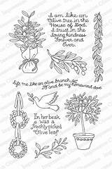 Impression Obsession Peggy Ackley Branch Stamps Olive Jo Clear sketch template