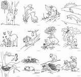 Animals Forest Coloring Pages Printable Animal Printablee Rainforest Preschool Craft Via sketch template