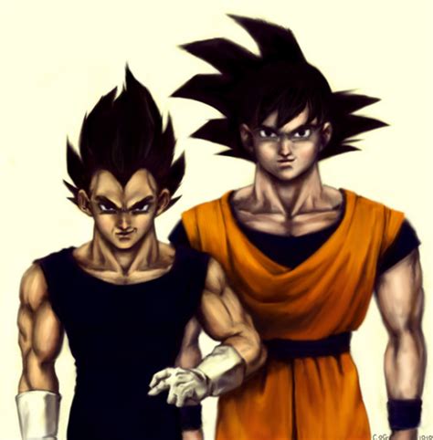 Goku And Chi Chi Dragon Ball Z Photo 22205275 Fanpop