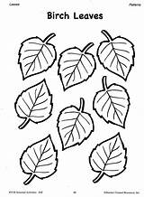 Leaf Coloring Patterns Fall Pattern Leaves Printable Pages Template Birch Flower Drawing Cut Tree Small Traceable Seasonal Templates Print Autumn sketch template