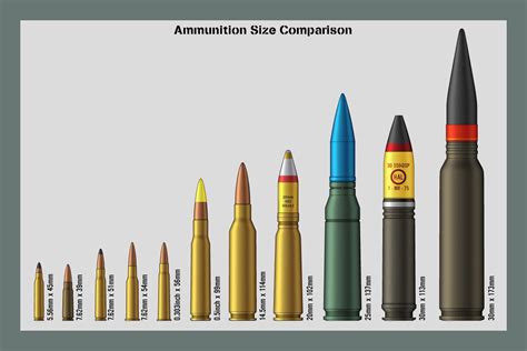 ammunition size comparison armas taticas municoes armas