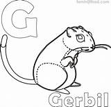 Gerbil Mice sketch template