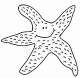 Starfish Seestern Estrelas Estrellas Zurück Pluspng sketch template
