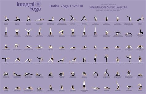 hatha yoga iii sequence integral yoga hatha yoga hatha