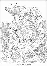Coloring Pages Butterfly Book Flower Garden Doverpublications Gardens Adult Dover Publications Printable Haven Creative Animal sketch template