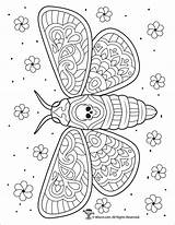 Moth Coloring Pages Adults Adult Woojr Coloringbay Dead Intricate sketch template