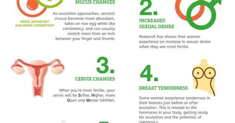 12 ovulation symptoms to help you get pregnant pregnancy