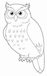 Owl Coloring Pages Snowy Color Drawing Printable Sheets Cartoon Print Getdrawings Getcolorings sketch template