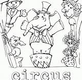 Circus Lion Coloring Pages Arrived Just Getcolorings Getdrawings sketch template