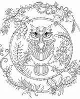 Coloring Hard Pages Owl Getcolorings Printable sketch template