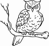 Coloring Kids Pages Owl Mewarnai Hantu Burung Disimpan Dari sketch template
