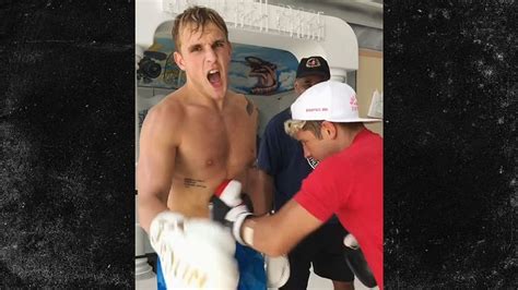 Jake Paul Gets Drilled In The Stomach Punch Me Harder