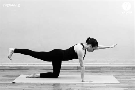 balancing table top pose yogea innovative yoga