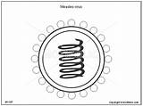 Measles Virus Drawing Respiratory Syncytial Illustration Diagram Illustrations Included Following Toolkit Getdrawings Motifolio sketch template