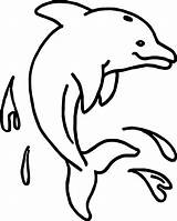 Coloring Dolphin Splash Dolphins Wecoloringpage Pages Print sketch template