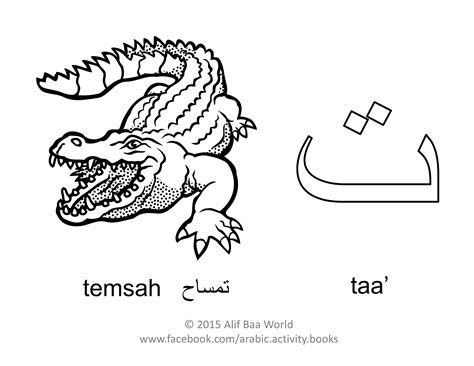 pin  learn arabic alphabet  arabic alphabet coloring pages