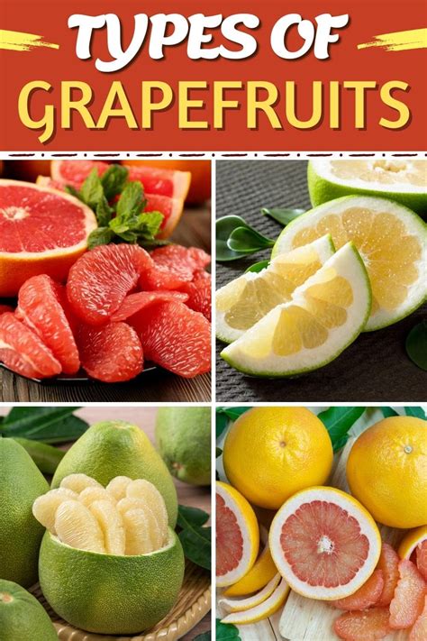 types  grapefruit     el comensal