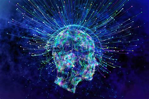 consciousness    drives  human mind neuroscience