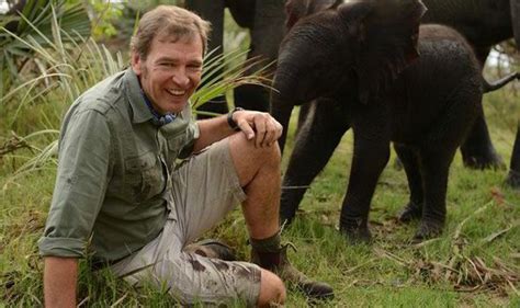 tv vet mark evans on born in the wild and inside nature s giants tv and radio showbiz and tv