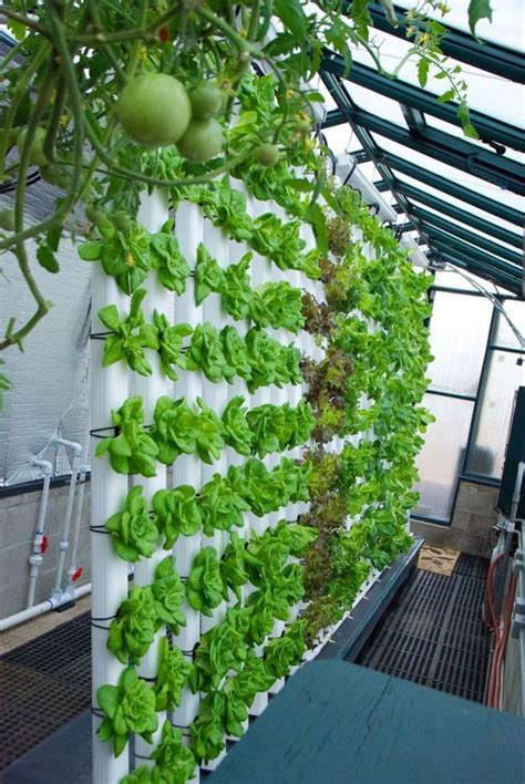 hydroponic garden ideas  hydroponic gardening