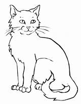 Cat Coloring Pages Scary Getcolorings Color Printable sketch template