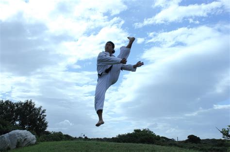 jumping high kick karate styles high jump martial arts