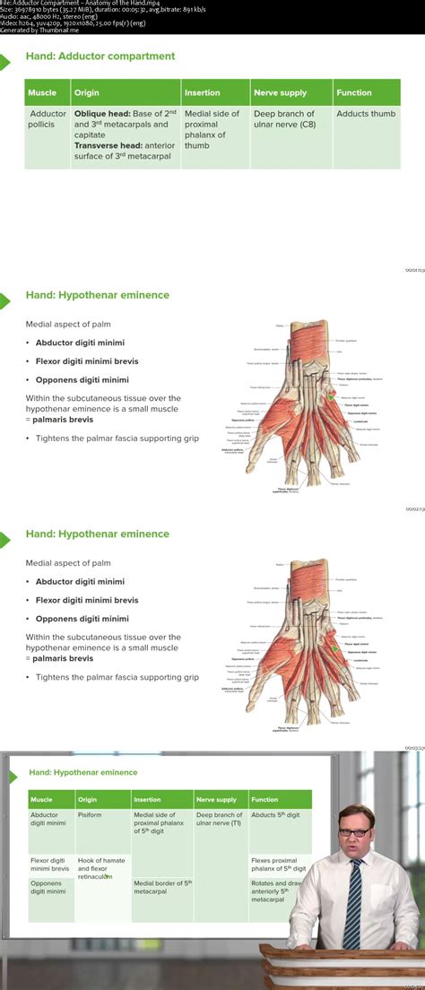 upper limb anatomy softarchive