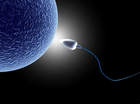 sperm abstraction abstract bokeh life sex sexual medical dna