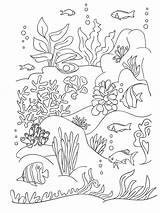 Inhabitants Wight Seaweed Doodle Marin Fond sketch template