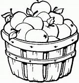 Apples Coloring Printable Basket Popular sketch template