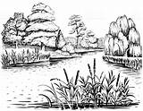 Landschaft Rivier Waterplanten Bomen Getrokken Landscapes Raskrasil Cattail Malvorlagen Berge Insel Riverside sketch template