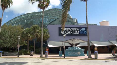 florida aquarium  offer  parking cheaper admission