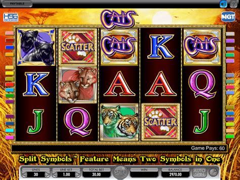 cats slot machine    play igt slots game