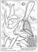 Dover Publications Grundschule Paddlefish sketch template