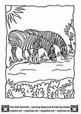 Coloring Pages Biome Animals Prairie Grassland Kids Zebra Related Colouring Grasslands Library Clipart Coloringhome Comments sketch template