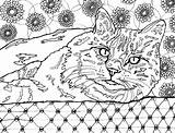 Coloring Cat Pages Adults Cats Book Lovers Books Feline Cleverpedia Adult Designs Stress Relieving Meow Part Colouring Fabulous 459px 65kb sketch template