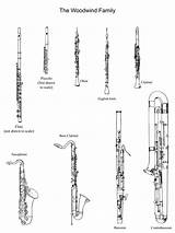 Woodwind Instrument Orchestra Clarinet Oboe Students Bassoon sketch template