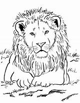 Lion Mountain Coloring Pages Lions Printable Detroit Getcolorings Color Colori sketch template