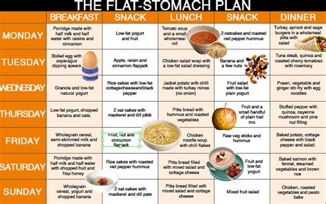 day exercise plan  flat stomach whey protein  food