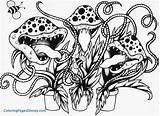 Venus Fly Trap Coloring Pages Carnivorous Plant Drawing Plants Color Activities Sheet Traps Getdrawings Print Adult Printable Kids Visit Getcolorings sketch template