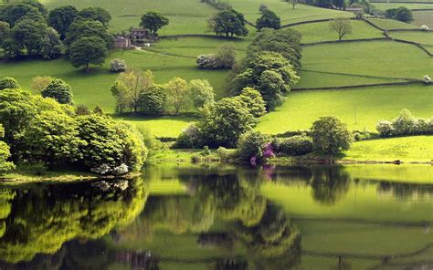 imagem de fundo paisagem verde  pequeno lago imagens de fundo