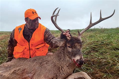 successfully  hunt whitetails north american whitetail